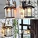 GOENDR Edison Bulb A19, Vintage Incandescent Light Bulbs - 60 Watt, Dimmable 2700K Warm Amber, E26/E27 Base, Squirrel Cage Filament - Antique Decor for Home, Table Lamp, Restaurant, 4Pack