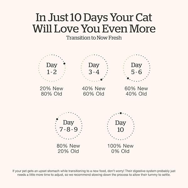 NOW FRESH GOOD GRAVY GRAIN-FREE DRY CAT FOOD WITH SALMON, HEALTHY KIBBLE FOR ADULTS & SENIORS COATED IN BONE BROTH – JUST ADD WATER TO MOISTEN, CHICKEN-FREE RECIPE FOR SENSITIVE STOMACHS, 8 LB BAG