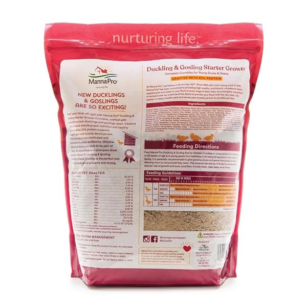 MANNA PRO DUCK STARTER GROWER CRUMBLE – NON-MEDICATED DUCKLING FEED WITH PROBIOTICS FOR DIGESTION, DUCKS & GOOSE STARTER FEED FOR HEALTHY GROWTH, DUCK GROWER CRUMBLE PELLETS, 8 LB