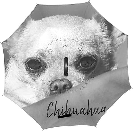 Amazon Mika 名前入りなチワワ力 逆さ傘 長傘 逆折り式傘 手離れc型手元 車用傘 自立傘 遮光遮熱耐風 撥水 Uvカット 8本骨 晴雨兼用 メンズ レディース Finerwi 長傘 通販