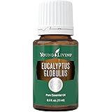 Young Living Eucalyptus Globulus Essential Oil - Contains Eucalyptol - 15 ml