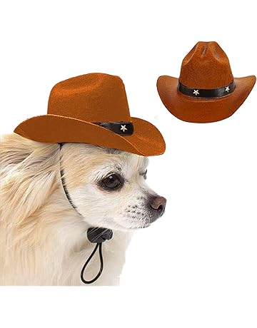 dog hats canada