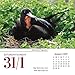 Turner Photo 2017 Bird Watching Photo Daily Boxed Calendar (17998970000)