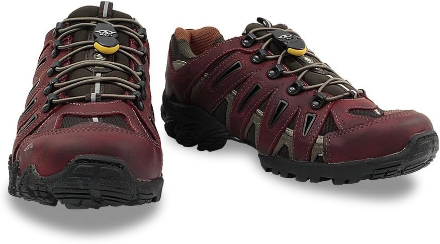 tenis bull terrier dragon 2