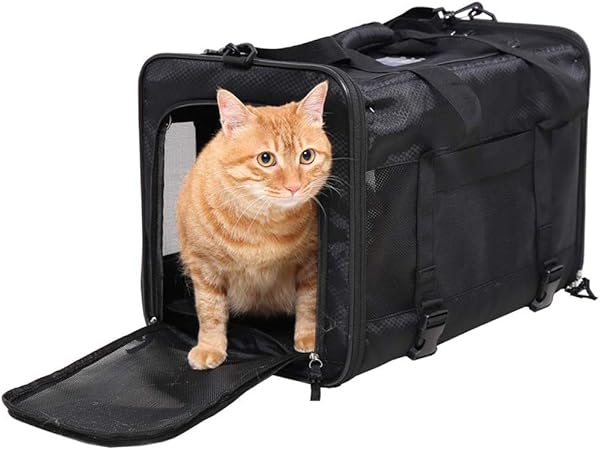 top loading pet carrier