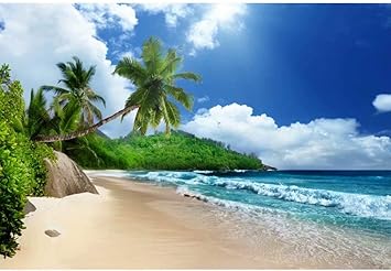 Amazon Com Ofila Tropical Backdrop 7x5ft Kids Holidays Party Decoration Seaside Birthday Photos Caribbean Coast Shoots Tropical Paradise Island Traveled Party Photos Sandy Background Props Camera Photo