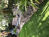 Review Image by Brad N.