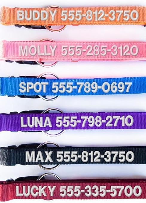 qualtry dog collar