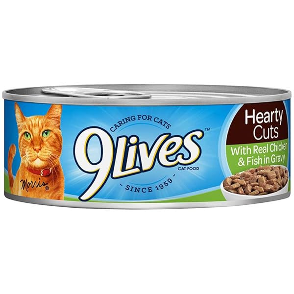 9LIVES TENDER SLICES WITH REAL CHICKEN IN GRAVY CAT FOOD, 5.5 OUNCE – 24 PER CASE.