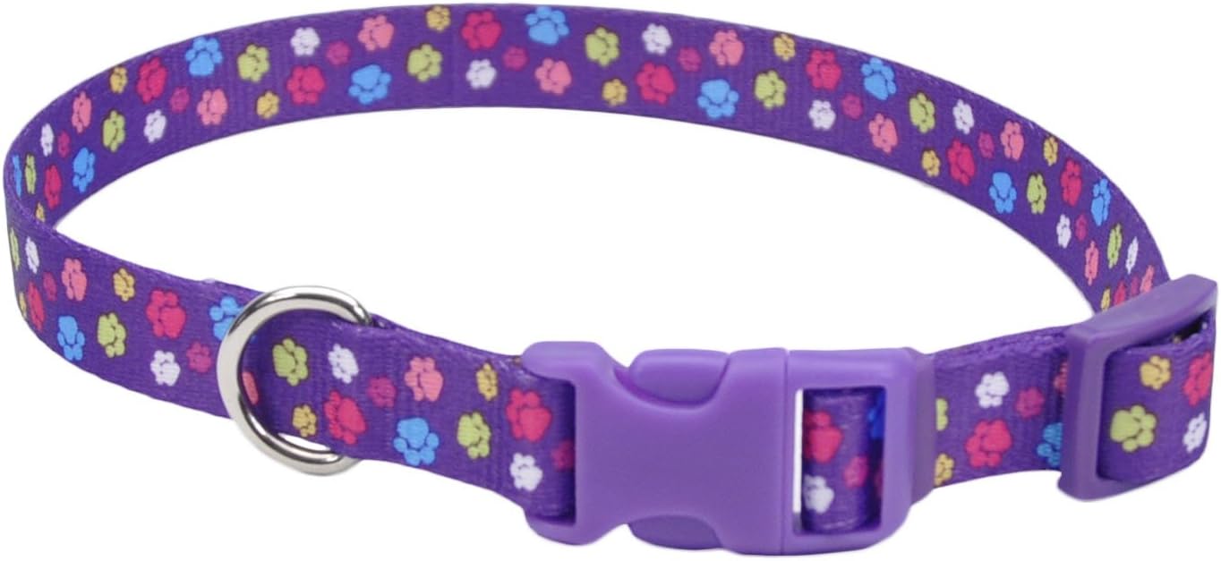 special dog collars