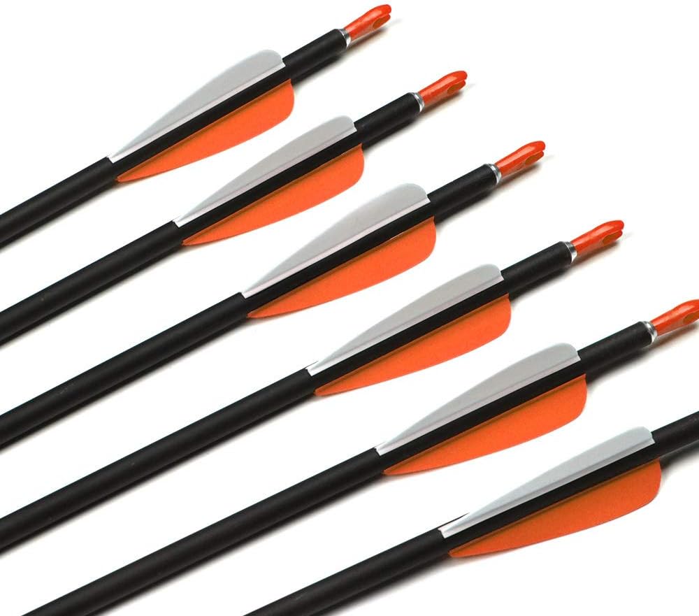 ANTISR 30" Carbon Arrows OD.275 with Interpolated Tips and Anti-Nail Nock for Compound & Recurve Bow(Pack of 12) : Sports & Outdoors