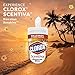Clorox Scentiva Disinfecting Antibacterial Wipes, Hawaiian Sunshine - 70 Count