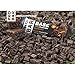 PROBAR – BASE 2.46 Oz Protein Bar, Chocolate Bliss, 12 Count – Organic, Gluten-Free, Plant-Based Whole Food Ingredientsthumb 3
