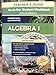 Prentice Hall Mathematics Algebra 1 Teacher's Guide: All-in-one Study Guide + Practice Workbook