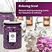 Aromatherapy Scented Candles - Great for Minimalistic Home Decor, Stress Relief, and Gift Set of Two 16 Ounce Mason Jar Candles (Island Orchid)