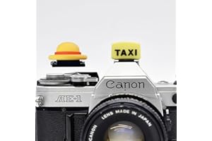 ZOSTLAND Special Slr Camera Hot Shoe Boot Cover Cap,Fashionable Dustproof Hot Shoe Protector,Compatible with Sony Fuji Canon Nikon Pentax Leical (Taix + Hat)