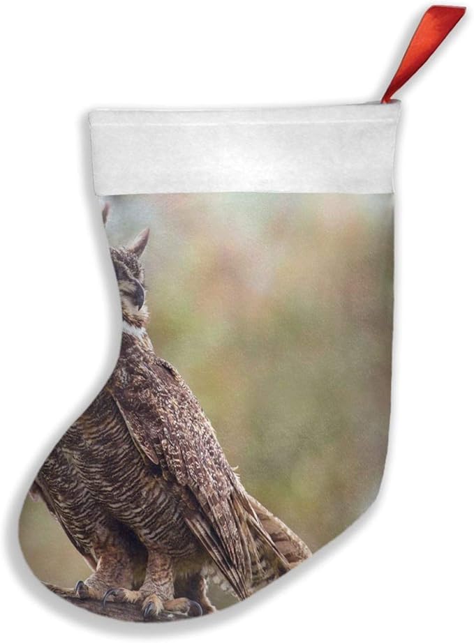 Vogel Jungfrau Eule Zweig Weihnachtsstrümpfe Weihnachten Kamin Hängende