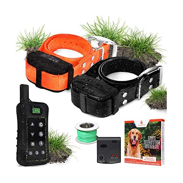 wifi enabled shock collar