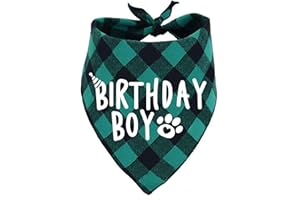 PICKUPIK Birthday Boy Dog Bandana Green