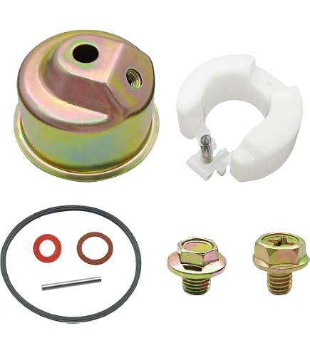 Amazon.com: 2 Pcs for 16010-ZE1-812 Carburetor Bowl Gasket Kit for