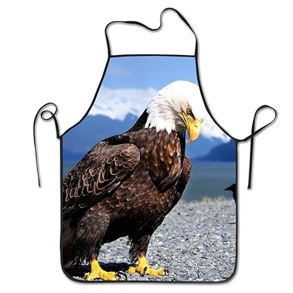 Amazoncom Sb80wq Eagle Raven Beach Apron For Chef Kitchen