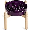 LE TAUCI Ceramic Slow Feed Dog Bowls, Elevated for Small and Medium Breed Dogs, Anti-Gulping Pet Feeding Dishes, Maze Purple, 1.5 Cups