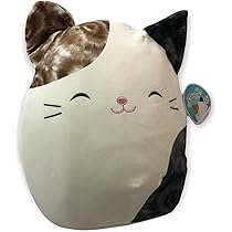 squishmallow cameron cat