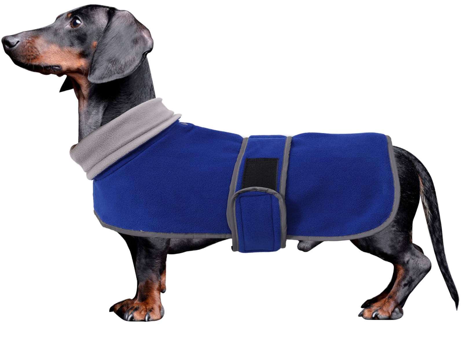Dachshund coats sausage dog fleece coat in winter miniature dachshund clothes with hook and loop closure and high vis reflective stripe safety - Blue - S