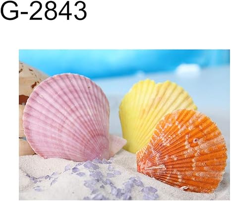 Get Decoracao da parede costeira For iPhone Free Decoracao Da Parede Costeira