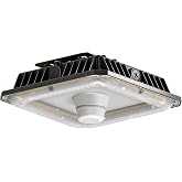 Rayoar LED Garage Canopy Light with Motion Sensor 30W/45W/65W Selectable | 9000LM 5000K,IP65 Waterproof,120-277V Commercial Outdoor Canopy Lights for Gas Station,Garages,Carports,workshops,Warehouse