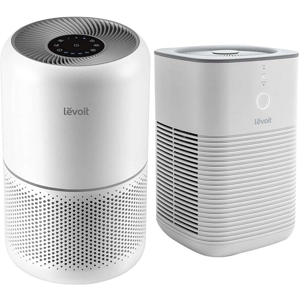 Best Overall: LEVOIT Air Purifier + Desktop Combo Pack