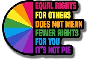 AD ASTRA GRAPHICS Equal Rights for Others Doesn't Mean Less Rights for You Magnet - LGBTQ Pride Ally Love Rainbow Flag - Car Truck Bumper Fridge Metal Surface Magnet - 5 Inches On Longest Side - Made in USA - AAMT0119