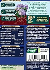Westland Hydrangea High Performance Liquid Plant Food 1 Litre view 2