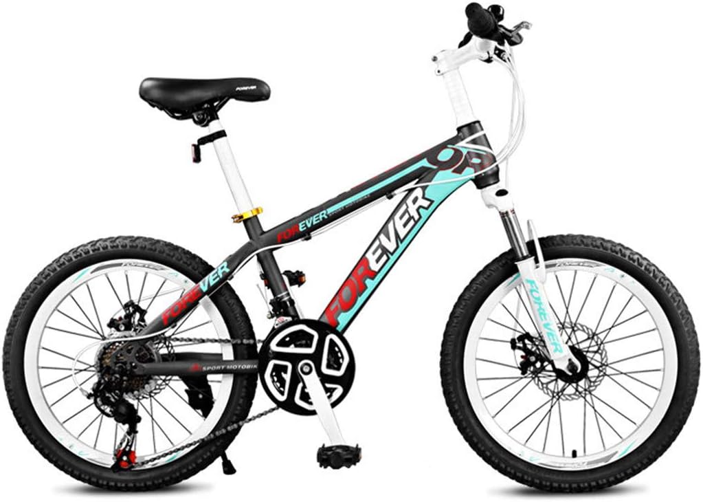 lightweight steel bike