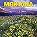 Montana 2010 Wall Calendar by 