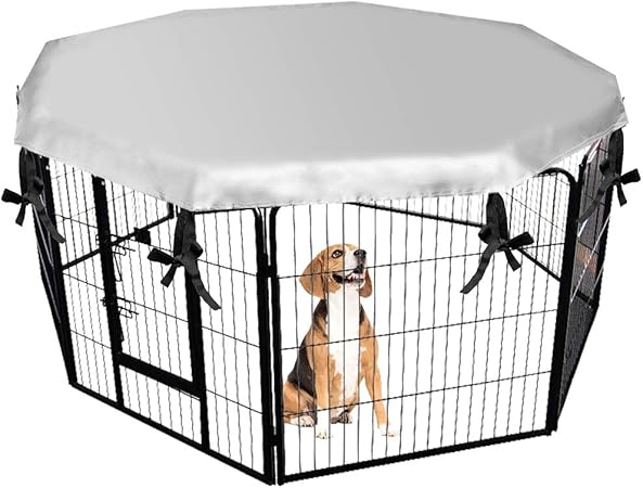 amazon dog kennel outdoor