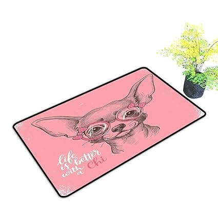 Amazoncom Zmstroy Bedroom Doormat Dog Girl Chihuahua