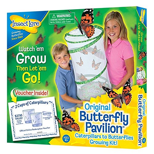 Insect Lore Butterfly Pavilion Large Habitat Hatching Kit With