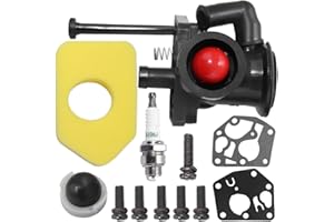 Zreneyfex Carburetor with 698369 Air Filter Replacement for B&S 795477 795469 794147 699660 794161 498811 Carb