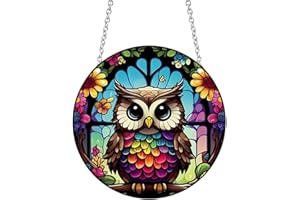 YKENDZ Owl Acrylic Window Hangings Yard Ornament Acrylic Wall Stained Panels Decor Window Art Decor for Bedroom Office Garden Kitchen