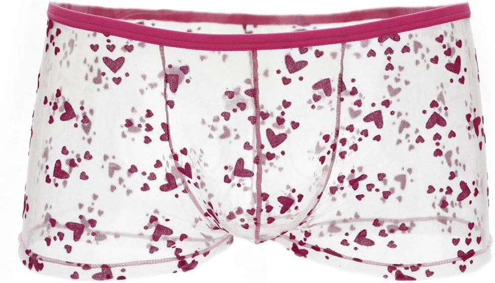 JINSHI Herren Boxershorts Aus Netzstoff - Sexy Durchsichtige Unterwäsche In Größen M-3XL