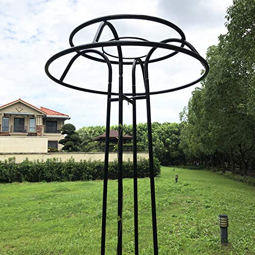 XJAXY Rankhilfe, Kletterhilfe, 80.7in Garten Gitter für Kletterpflanzen und Blumen, Metallpflanze Trellis für den… – Bild 7