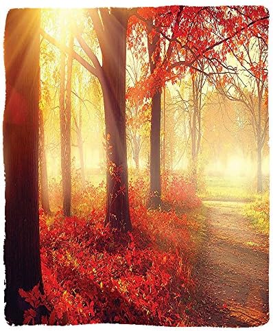 VROSELV Custom Blanket Fall Sun Beams through Misty Old Forest in Season Morning View Dreamy Scenic PictureWall for Soft Fleece Throw Blanket Light Yellow and Orange