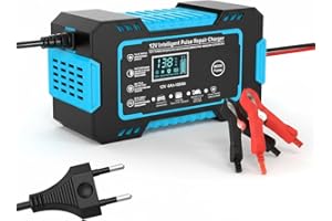 12V 6A Battery Charger for Toyota 4Runner 2013-2015 2016 2017 2018 2019 2020 2021 2022 2023 2024, Car & Motorcycle Battery Ch