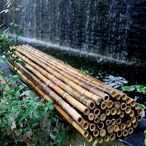 JinSui Bambus Sichtschutz Balkon Dekorative Zäune Terrassen und unansehnlicher Garten sind originale Bambus… – Bild 3