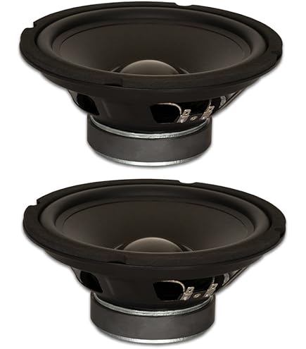 Amazon.com: Goldwood Sound GW-8028 Rubber Surround 8