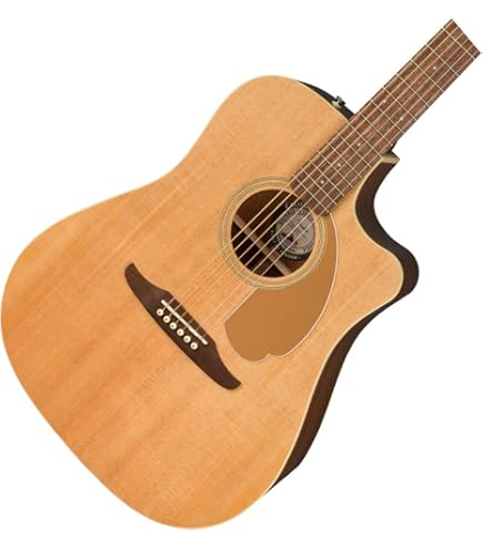 Fender Redondo Playerサンバースト Amazon.com: Redondo Player, Walnut Fingerboard, Gold