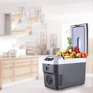 ZHENYUE Refrigerador del Coche, Coche Refrigerador 10L Mini ...