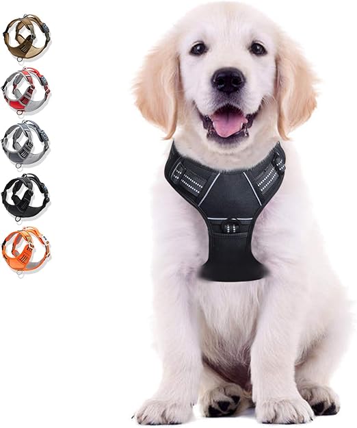 amazon dog harness with handle
