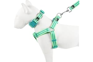 Tiffpaws Striped Dog Harness Collar and Leash Set, Polyester Webbing Dog Collar Easy Walking and Training Dog Harness and Leash 3-in-1 Suit Adjustable Dog Harness Collar Leash Set for Dogs(Green, S)